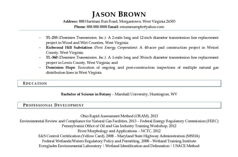 Environmental Scientist Resume Example Resume Samples   Environmental Scientist Resume Examples 02 1 E1623812916887 768x507 