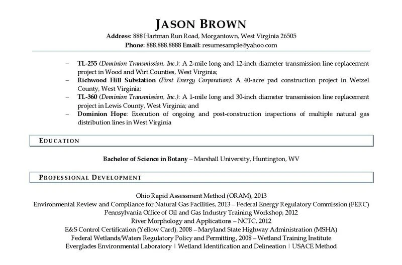 Environmental Scientist Resume Examples 02 1 E1623812916887