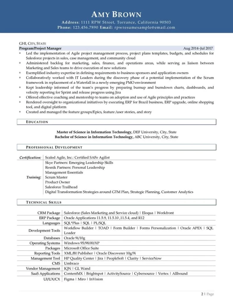 It Director Resume Example Page 2