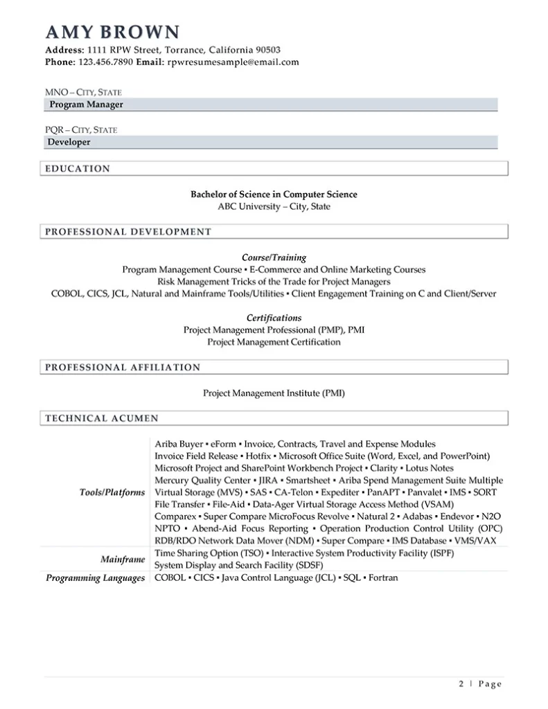 Rpw It Project Manager Resume Example Page 2