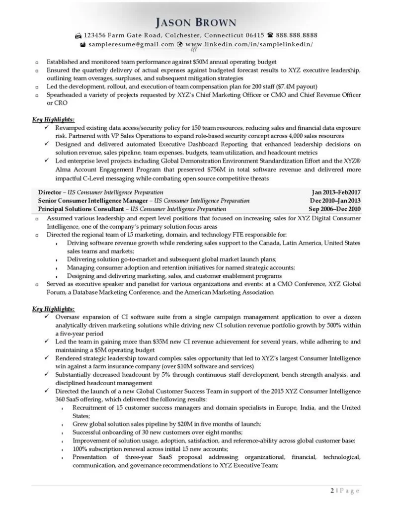 Senior Director Resume Examples Page 02