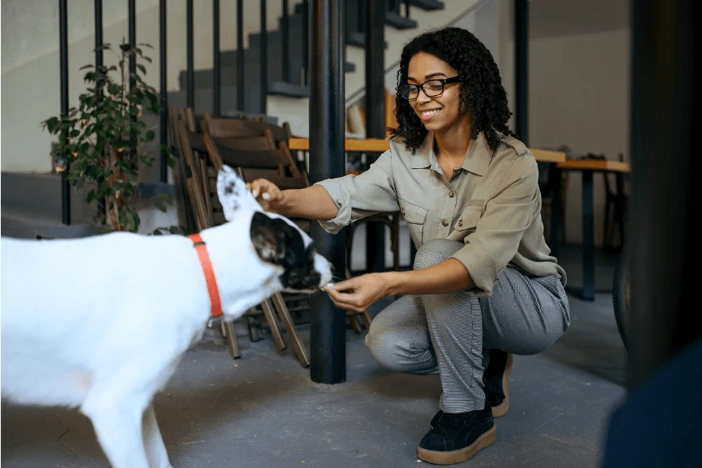 Woman In Pet Care Service Taking Care Of A Pet Dog