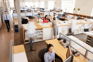 Relaxed Workplace As One Of The Types Of Work Environments