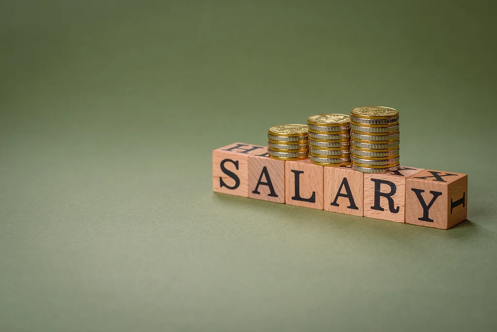 The Inscription Salary Made Of Wooden Cubes